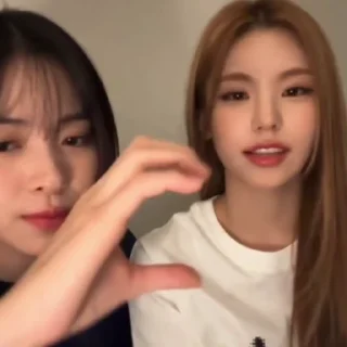 🪵 emoji ry  — @sticklop Telegram sticker 16 of 50