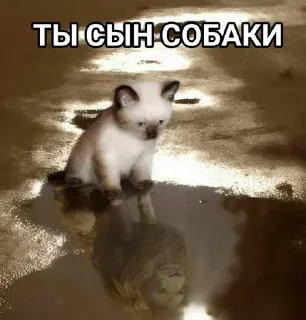 Sticker from котеки