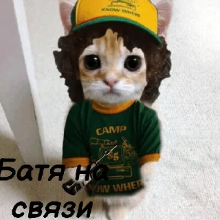 Sticker from Легенды котов