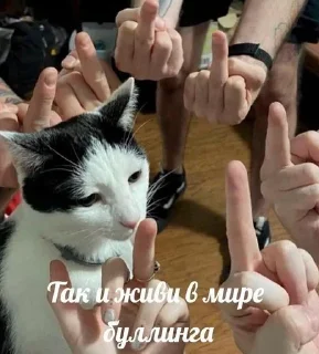 🐱 emoji ьбьб Telegram sticker 22 of 120