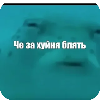 👍 emoji Метроблябля Telegram sticker 12 of 31