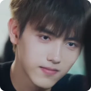 🌟 emoji ли сюнь. Telegram sticker 11 of 47