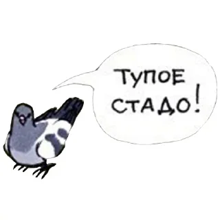 😕 emoji Bluejay @TVstickers Telegram sticker 12 of 16