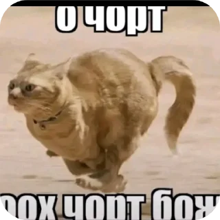 Sticker from У тех,кто это юзает есть мама