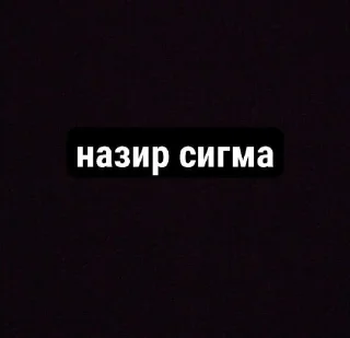 Sticker from Назир молодец @SozdaiStickeriBot