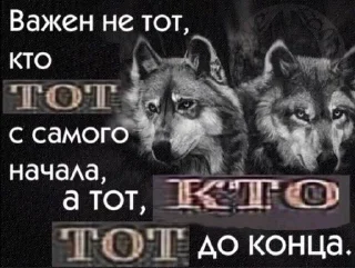 🐺 emoji Ролексы Telegram sticker 19 of 111