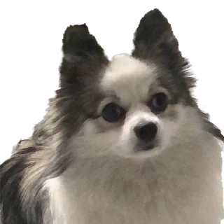 Sticker from Bonnie
