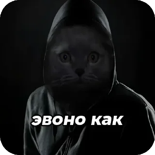 🐱 emoji Окаки Telegram sticker 4 of 7