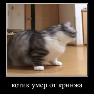 🤮 emoji ДемотиваторыКомару @komarueveryday Telegram sticker 6 of 50