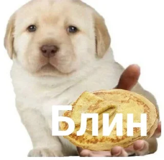 🌟 emoji Блэнди.v3 @ASBland Telegram sticker 8 of 120