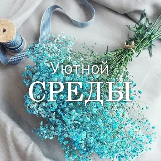 💚 emoji Дни Недели Telegram sticker 13 of 36