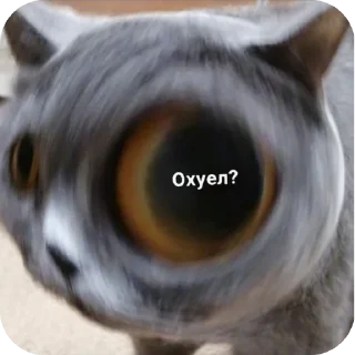 🐱 emoji Коты недели @TgEmodziBot Telegram sticker 14 of 19