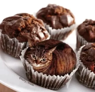 🧁 emoji аккуратно, не съешьте кота Telegram sticker 5 of 120