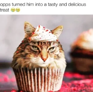 🧁 emoji аккуратно, не съешьте кота Telegram sticker 18 of 120