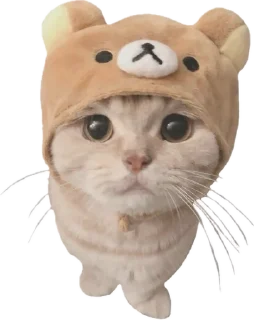 🥺 emoji ୨୧ BYLISHH @liubashh Telegram sticker 11 of 15