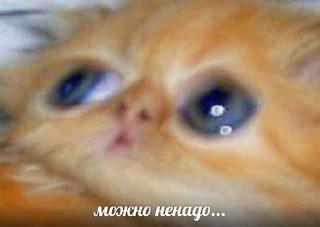 🥲 emoji ЪУЪУЪУ Telegram sticker 17 of 82
