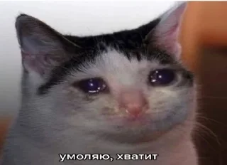 😩 emoji ЪУЪУЪУ Telegram sticker 6 of 82