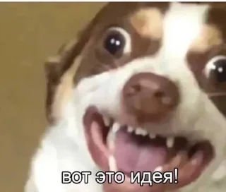 🤩 emoji ЪУЪУЪУ Telegram sticker 23 of 82