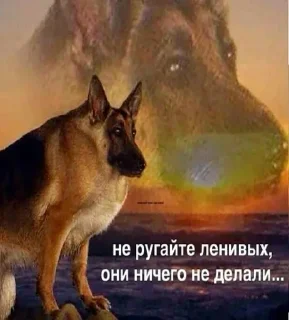 🐶 emoji Татарстан супер гуд Telegram sticker 12 of 20