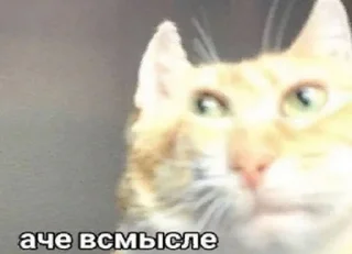 🙁 emoji Татарстан супер гуд Telegram sticker 8 of 20