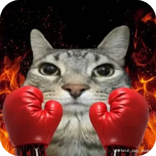 Sticker from Кот Тайлер дерден | @Floppathecat