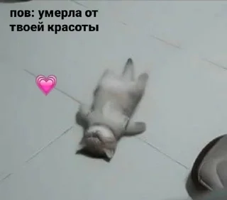 😍 emoji лЯлЯ Telegram sticker 2 of 107