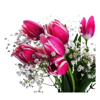 🌹 emoji 8 марта :: @animesticks Telegram sticker 10 of 25