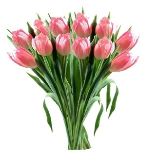🌷 emoji 8 марта :: @animesticks Telegram sticker 12 of 25