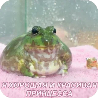 🫥 emoji Лягушка Telegram sticker 9 of 17