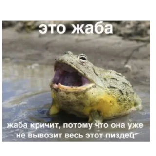 🫥 emoji Лягушка Telegram sticker 14 of 17