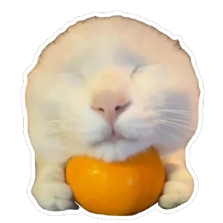 ☺️ emoji котёнки <3 Telegram sticker 17 of 39