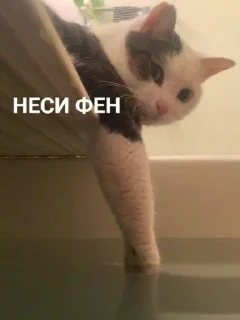 😢 emoji Четвёртый нахой Telegram sticker 15 of 120