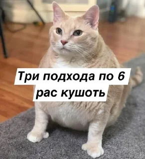 🤤 emoji Четвёртый нахой Telegram sticker 14 of 120