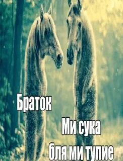 🌟 emoji шкибиди Telegram sticker 6 of 50