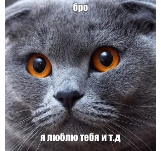 🌟 emoji шкибиди Telegram sticker 17 of 50