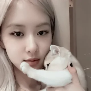 Sticker from [🍎] ;; rosé ;; @lumicore_present