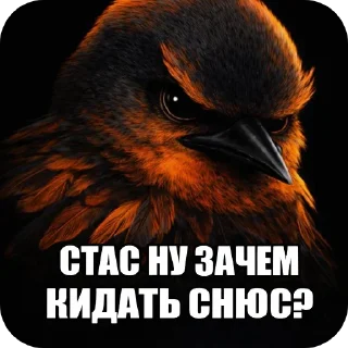 🐦 emoji НАШ КЛАН Telegram sticker 8 of 8