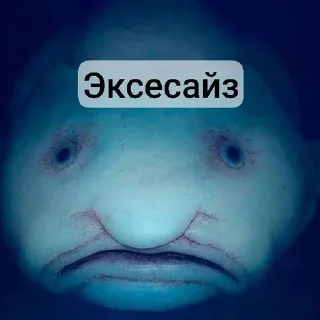 🤫 emoji Капля 11анал Telegram sticker 11 of 15
