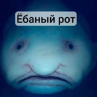 🤪 emoji Капля 11анал Telegram sticker 7 of 15