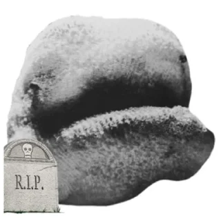 💀 emoji Bear PPK №5 Telegram sticker 14 of 29