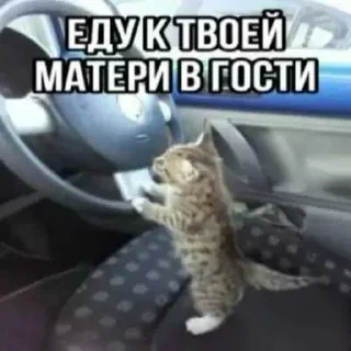 😱 emoji Скуфзавор ➡️ @Ctikerubot Telegram sticker 17 of 74