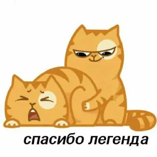😳 emoji Скуфзавор ➡️ @Ctikerubot Telegram sticker 13 of 74