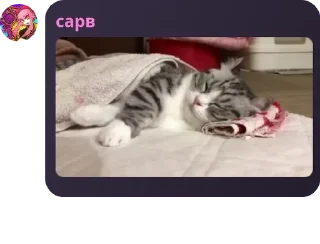 🌖 emoji союз неадекватных бошкатрясов pack by @QuotLyBot Telegram sticker 13 of 67