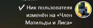 🌟 emoji Поеблошки лололошки Telegram sticker 1 of 48