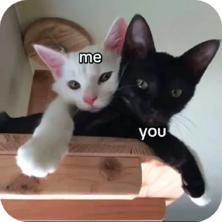 Sticker from معليك