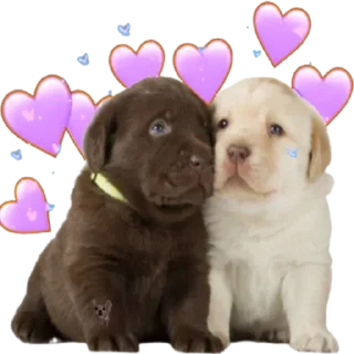 ❤️ emoji Стикеры 👉 @stickerpackstgs Telegram sticker 23 of 103