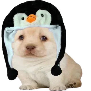 😊 emoji Стикеры 👉 @stickerpackstgs Telegram sticker 14 of 103