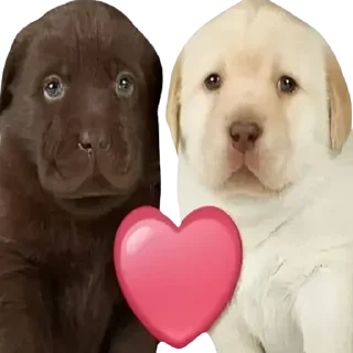 😘 emoji Стикеры 👉 @stickerpackstgs Telegram sticker 24 of 103