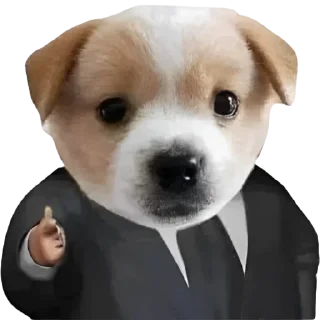 🤑 emoji Стикеры 👉 @stickerpackstgs Telegram sticker 2 of 103