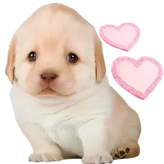 🥰 emoji Стикеры 👉 @stickerpackstgs Telegram sticker 21 of 103